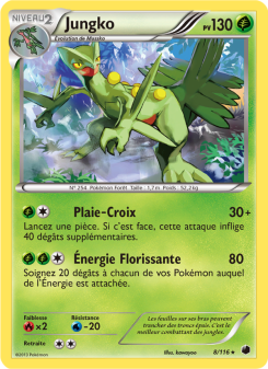 Jungko card