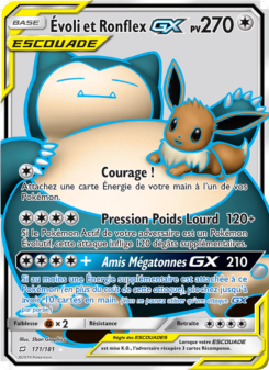 Évoli et Ronflex GX card