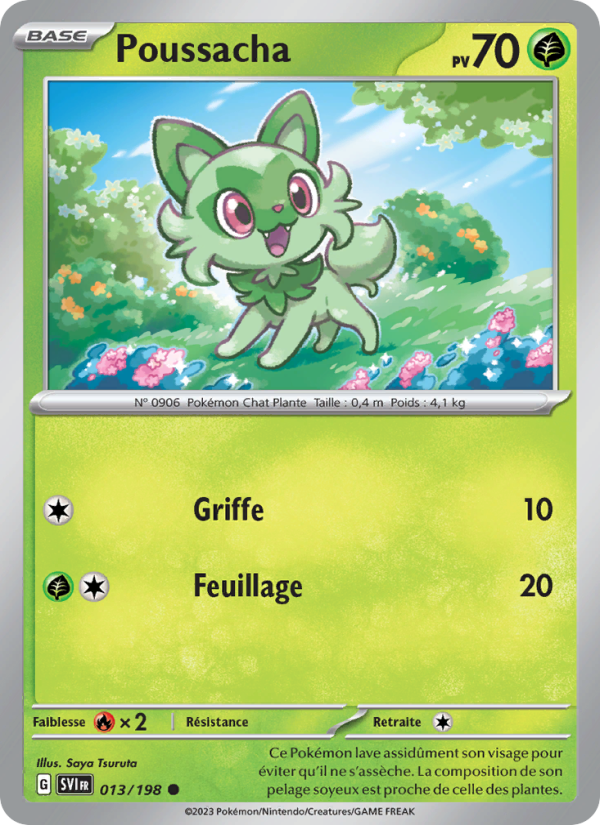 Poussacha card