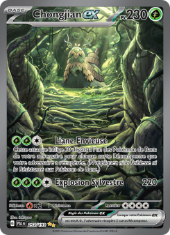 Chongjian-ex card